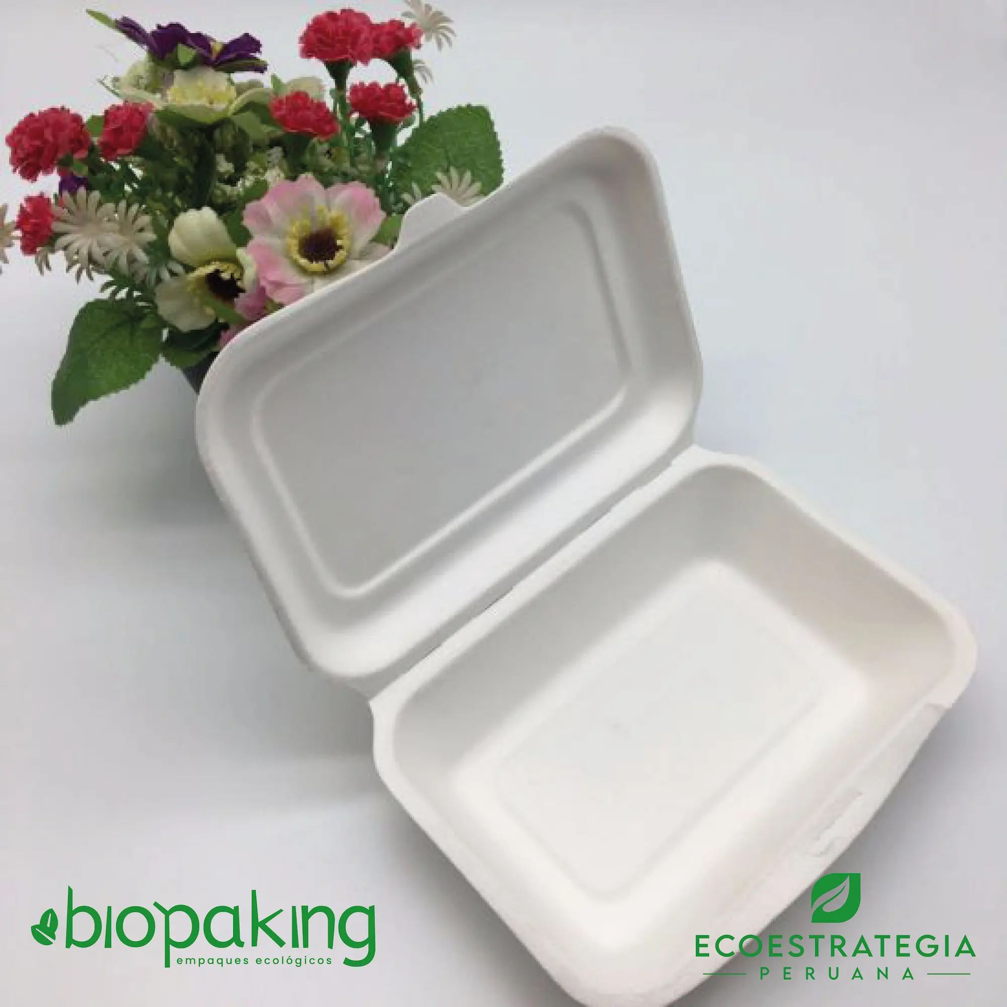 ▷ Envase Biodegradable para Ensaladas 940 ml - Envío Gratuito 24h. ✓✓